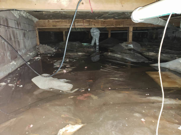 Trusted Brunswick, NC Water damage restoration Experts